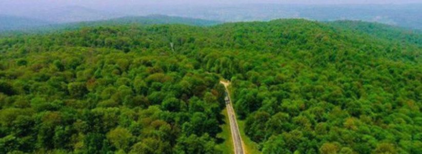  دسترسی آسان به منابع­ طبیعی مانع تحقق توسعه پایدار در جنگل ­نشینان