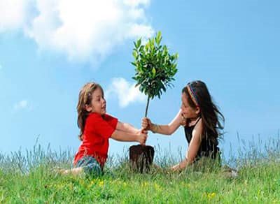 .jpg - تاریخچه ی روز درختکاری