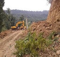 سدسازی بیش از هزار هکتار گونه های ارزشمند جنگل های شمال قربانی سدهای جدید خواهد شد