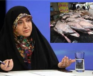 بازار پرندگان وحشی فریدونکار برای همیشه بسته شد