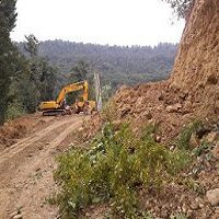 بیش از  هزار هکتار گونه های ارزشمند جنگل های شمال قربانی سدهای جدید خواهد شد