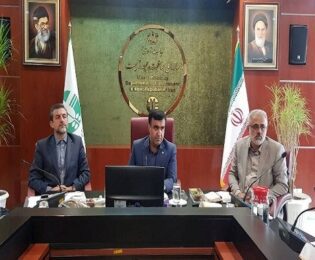 سلاجقه رییس سازمان حفاظت محیط زیست: واردات چوب و طرح تنفس جنگل‌ها ضروری است